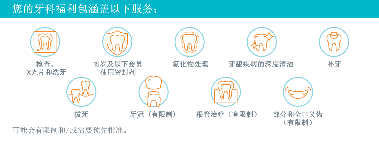 来自牙科福利讲义的牙科福利清单